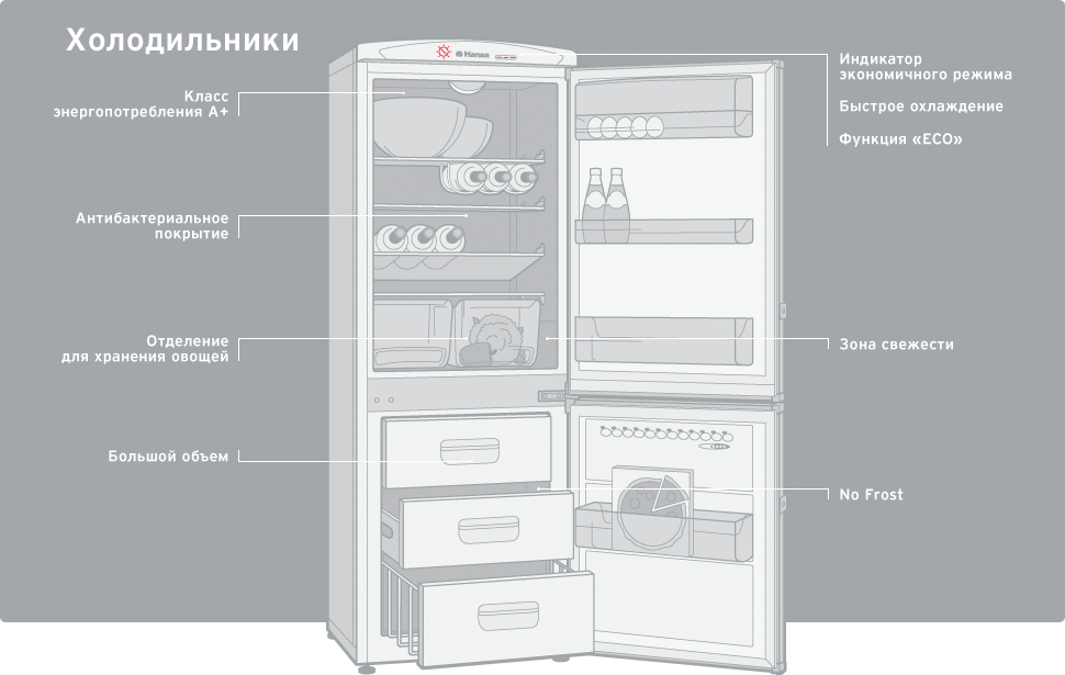 Обзор функции холодильника: режим "отпуск"