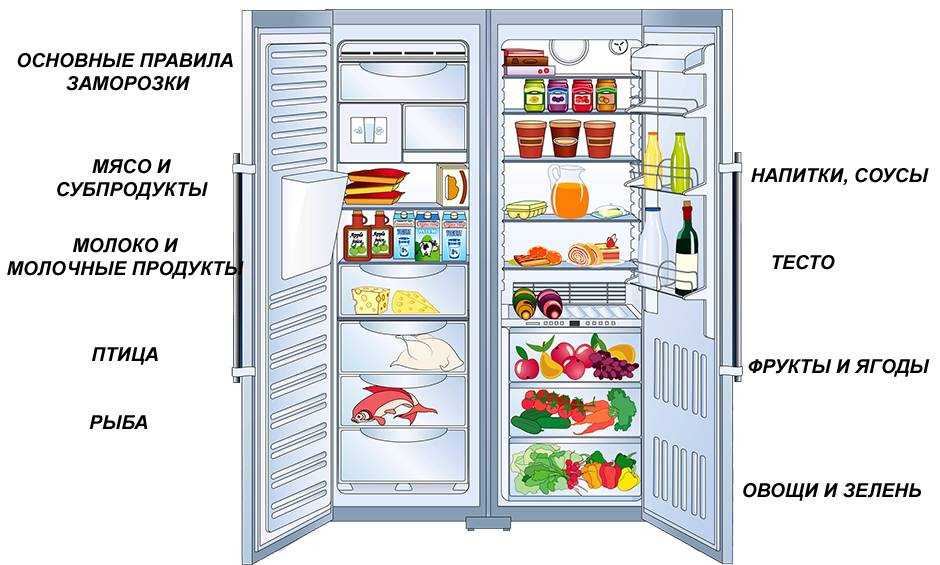 Температура в холодильнике или где его самое холодное место