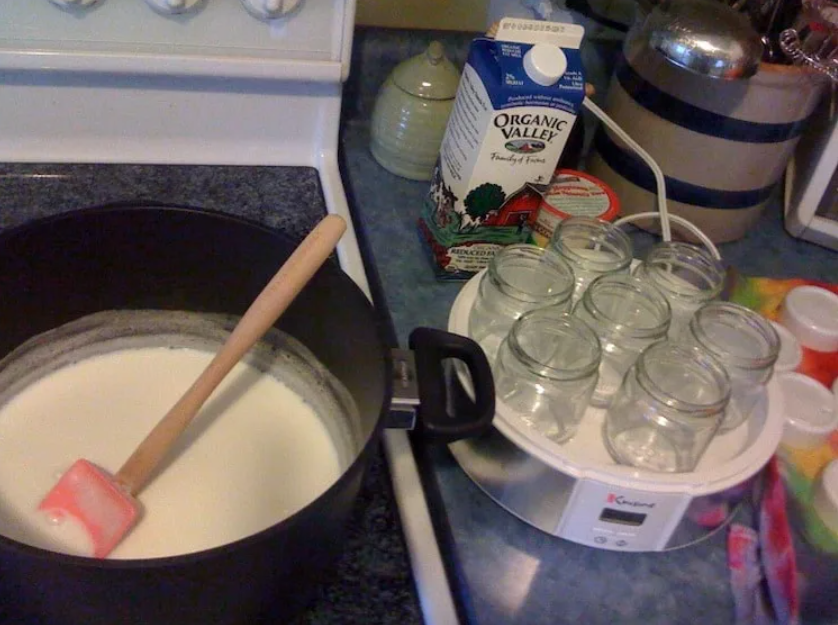 1 для приготовления домашней. Йогурт домашнего приготовления. Приготовление йогурта в домашних. Натуральный йогурт для приготовления. Домашний йогурт из домашнего молока.