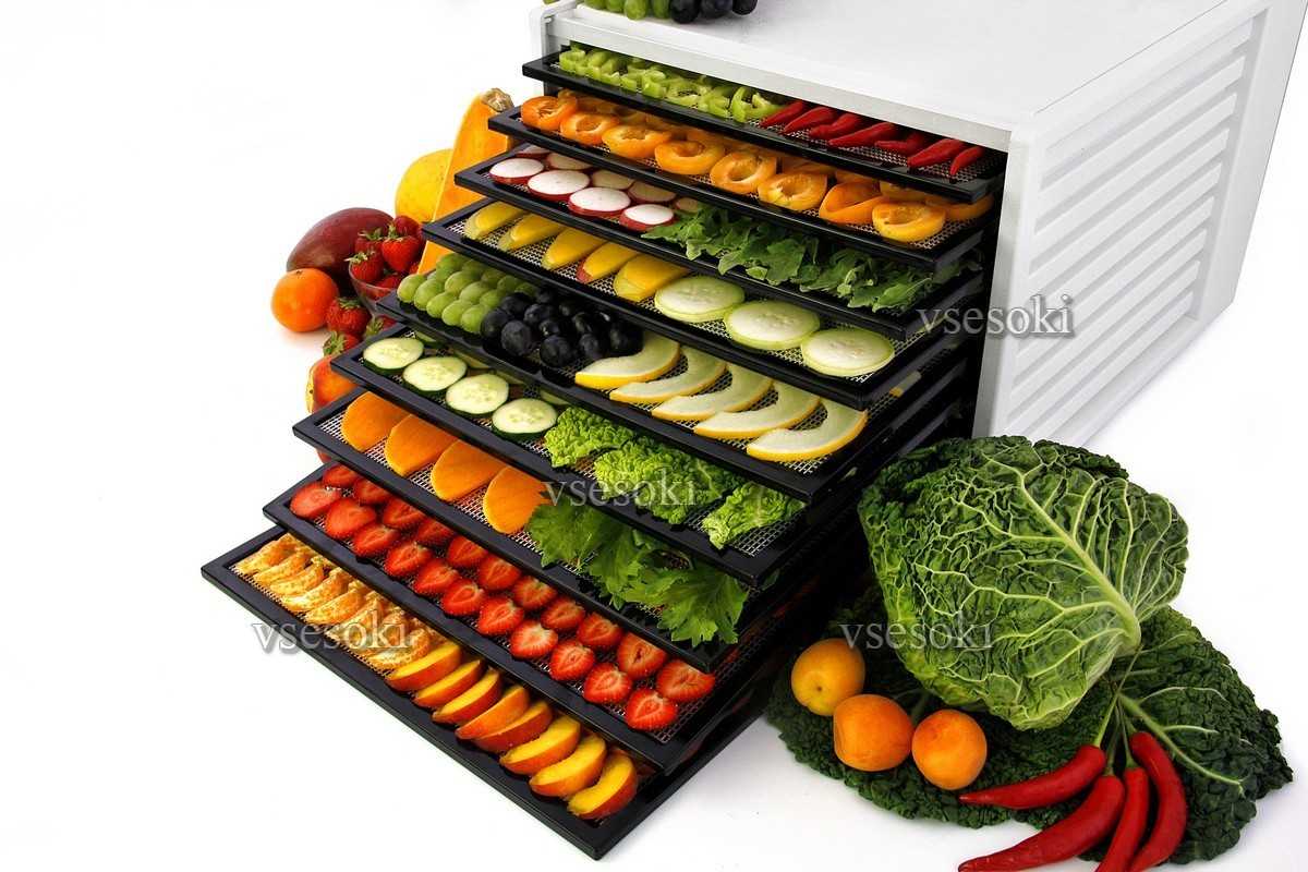 Сушилка для овощей и фруктов: принцип работы, как выбрать и пользоваться