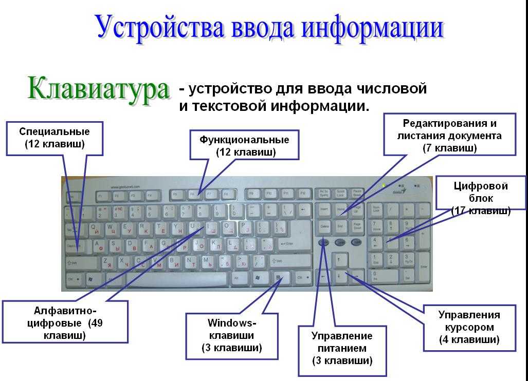 Типы клавиатур: какие бывают и их разновидности?