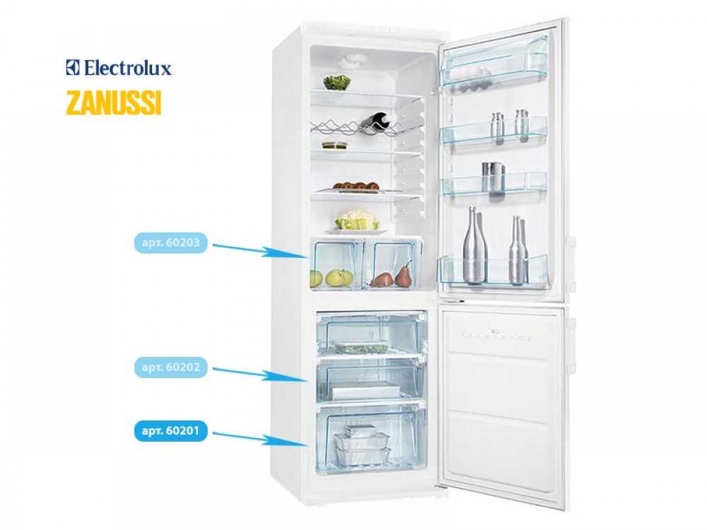 Какая полка в холодильнике самая холодная: где самое холодное место в холодильнике, вверху или внизу, кроме морозилки