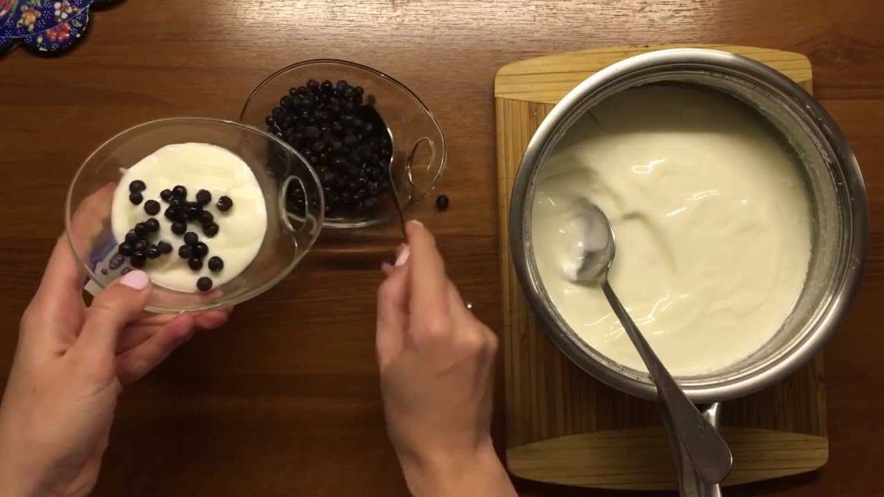 Йогурт в йогуртнице | 5 лучших диетических рецептов приготовления йогуртов