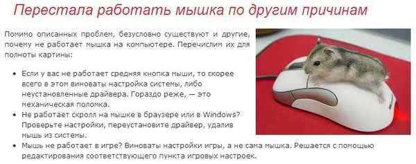 Колесо прокрутки мыши работает не корректно - pc-assistent.ru