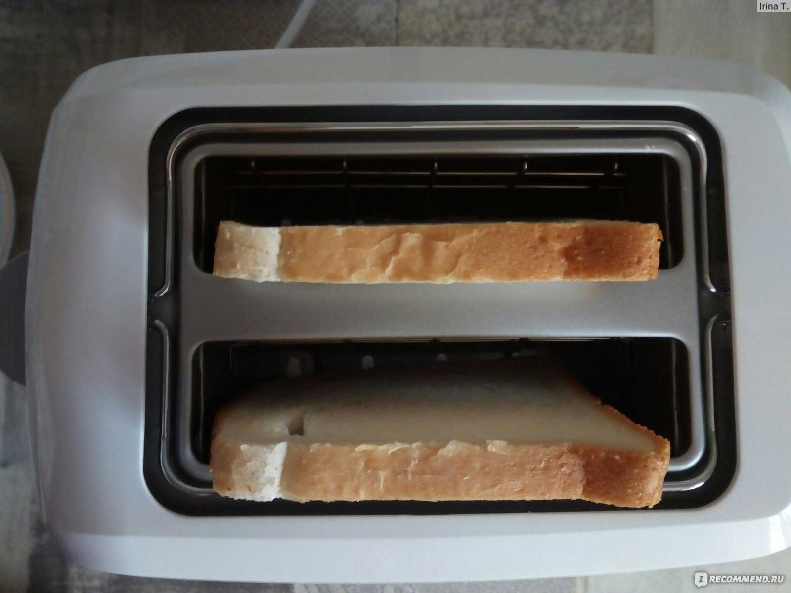 7 лучших тостов для твоего завтрака | brodude.ru