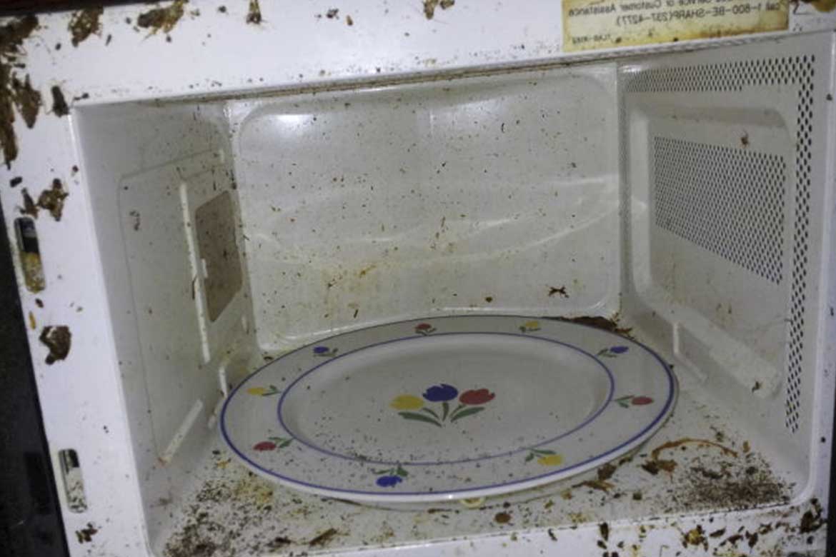 Что делать, если в холодильнике появились тараканы Если в холодильнике появились незваные гости, нужно постараться избавиться от них как можно скорее, так как: Обитая за задней стенкой, они могут стать причиной различных поломок Нахождение тараканов в агр