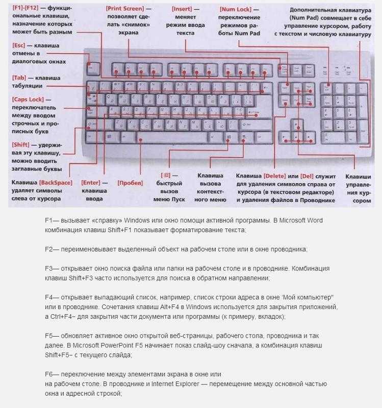 Клавиатуры на ноутбуках: настройка, сочетания клавиш, переключение режимов и другие советы