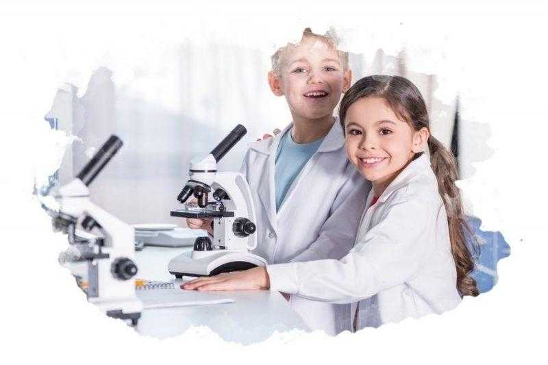 Рейтинг лучших микроскопов для школьников: производители, какой выбрать, рейтинг топ-7