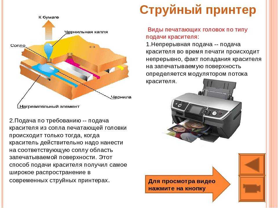 Какие существуют виды принтеров - основные типы и характеристики