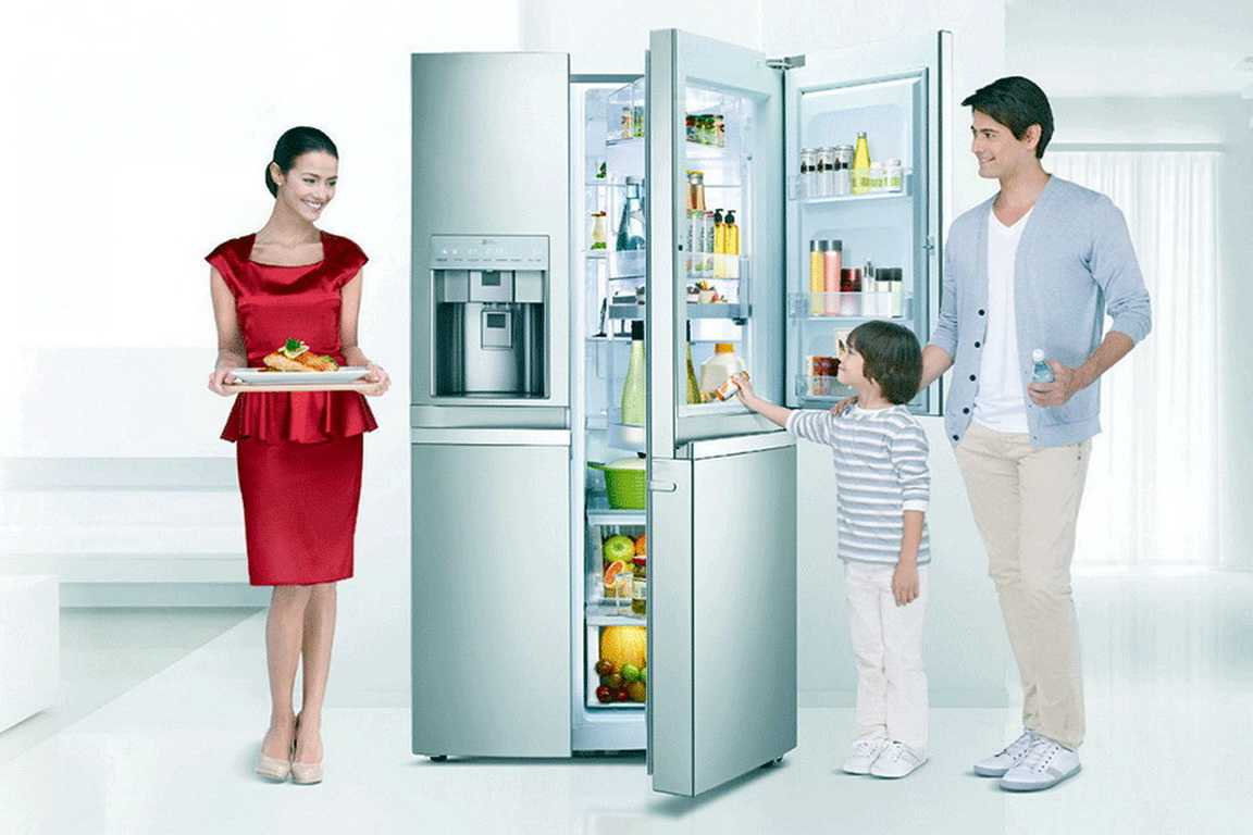 Виды холодильников по принципу действия, их особенности