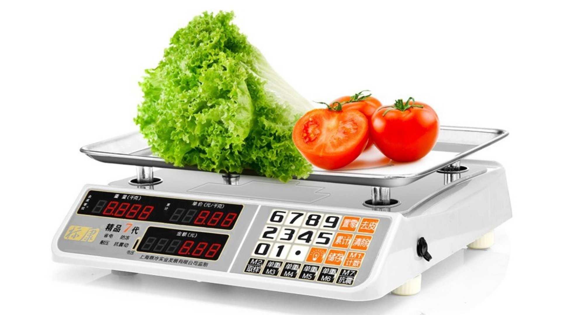 Как контролировать порции еды без весов и подсчета калорий — 8 способов