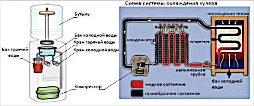 Устройство кулера для воды: принцип работы, охлаждения, схема с описанием, из чего состоит, инструкция по подключению, эксплуатации, ремонту, фото
