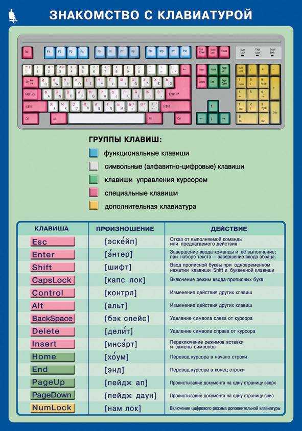 Назначение клавиш клавиатуры ноутбука, их описание и комбинации