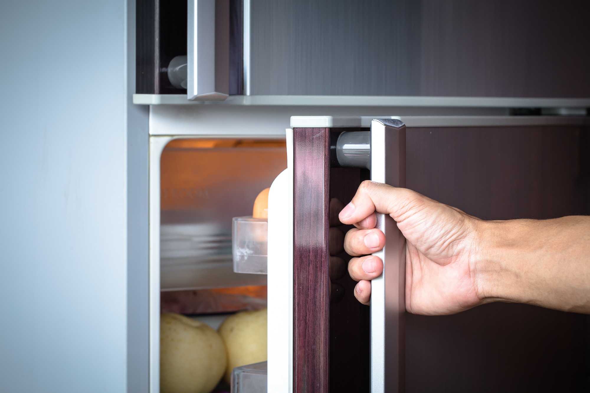 Дверь холодильника не присасывается что делать — автотоп