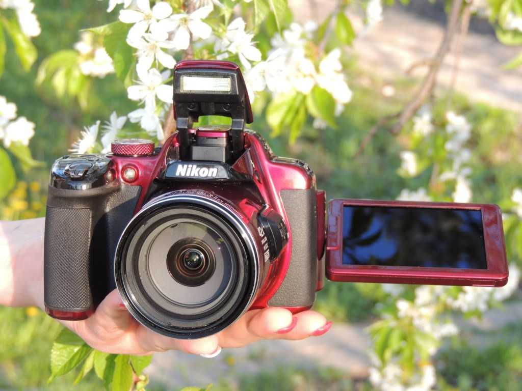 Как выбрать фотоаппарат | блог comfy