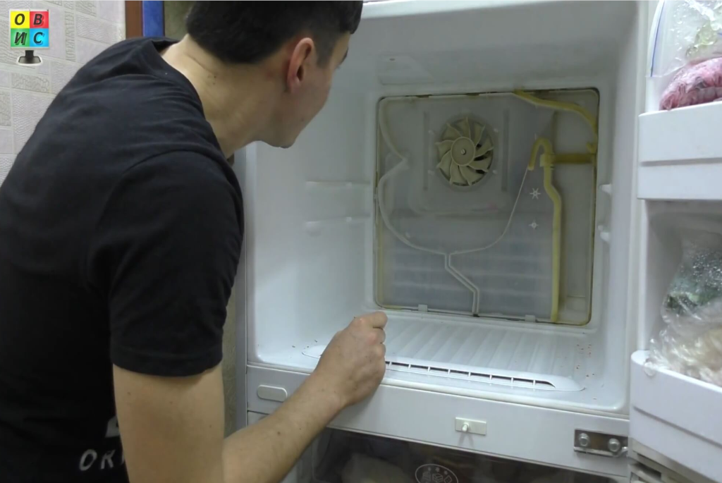 Не испаряется вода в испарителе холодильника