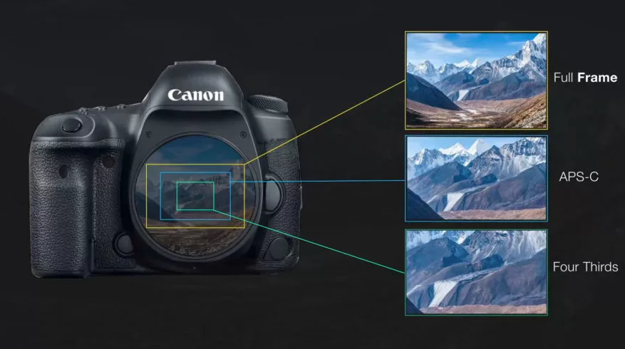 7 лучших полнокадровых фотоаппаратов 2022 года