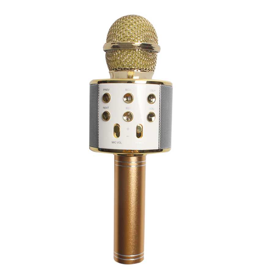 Топ-12 лучшие микрофоны для караоке: рейтинг, какой выбрать и купить, отзывы, характеристики