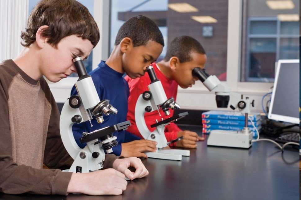 Как выбрать качественный микроскоп для школьника или студента