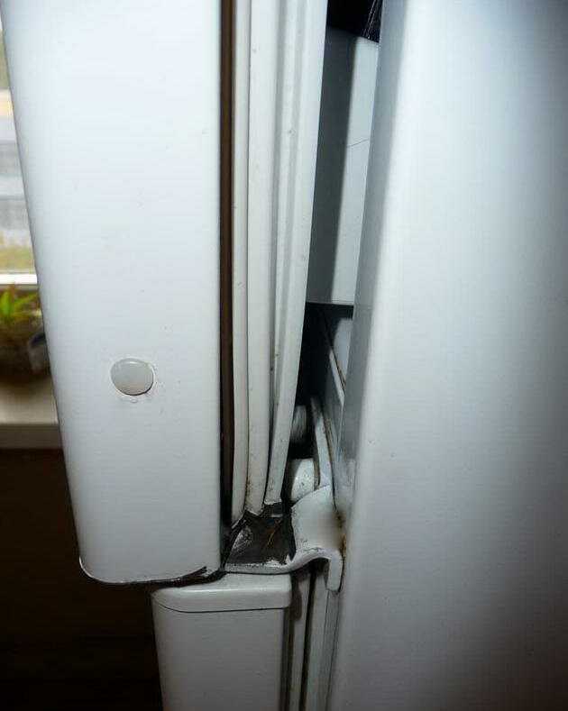 Скрипит дверь холодильника: что делать и чем смазать скрипящую дверь