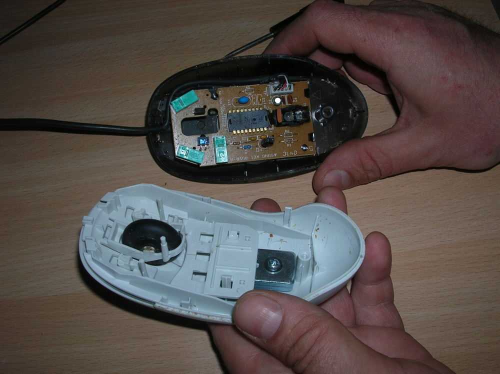 Какой должна быть компьютерная мышка? ремонт компьютерных мышек :: syl.ru