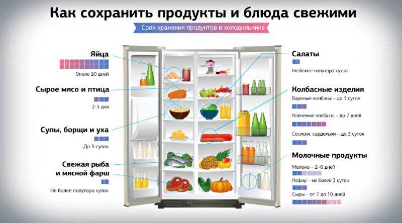Холодильник. описание, история, характеристики и выбор холодильника | техника на "добро есть!"