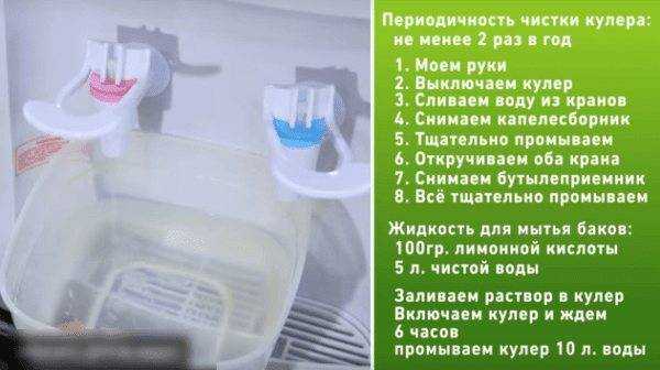 Как самостоятельно почистить кулер для воды в домашних условиях