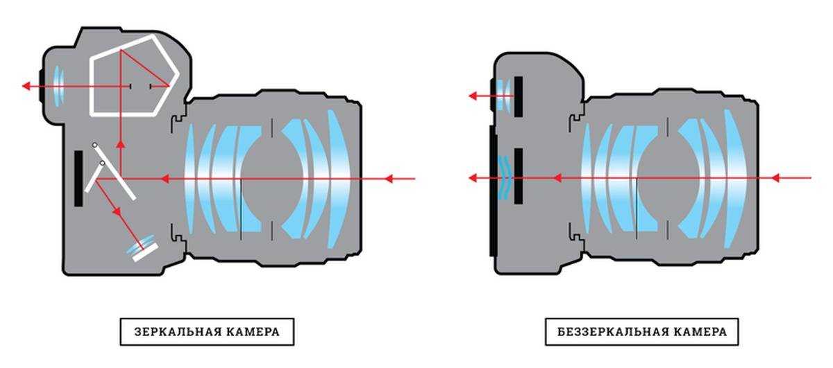 Сравнение компактных и зеркальных цифровых камер